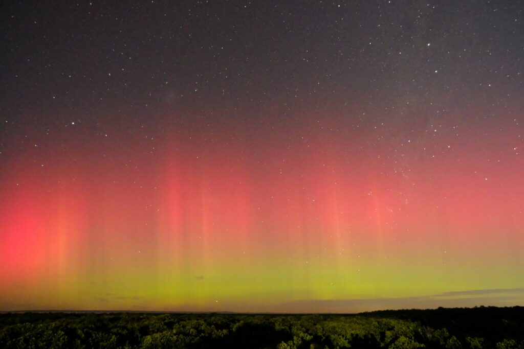 The Aurora Australis dances over tree tops in the southern parts of australia.