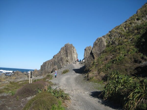 Sinclair Trail Head in Wellington